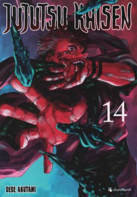 Manga: Jujutsu Kaisen 14
