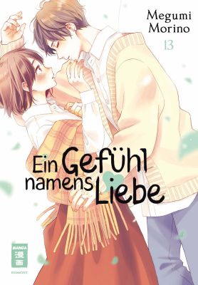 Manga: Ein Gefühl namens Liebe 13