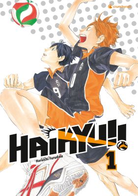 Manga: Haikyu!!  1