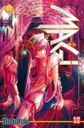 Manga: Magi - The Labyrinth of Magic 14