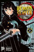 Manga: Demon Slayer 12