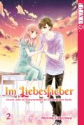 Manga: Im Liebesfieber  2