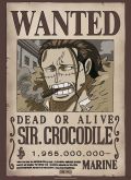 Poster: One Piece 